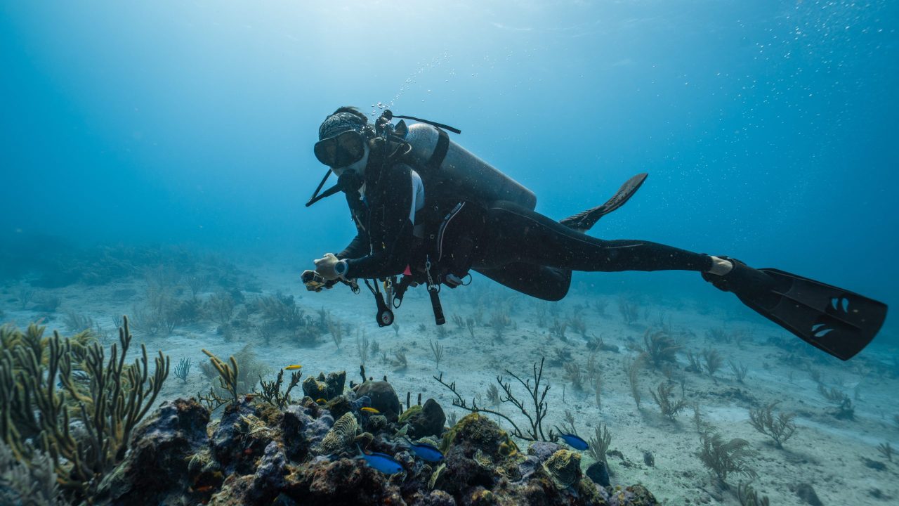 female diver posing among the corals and fish